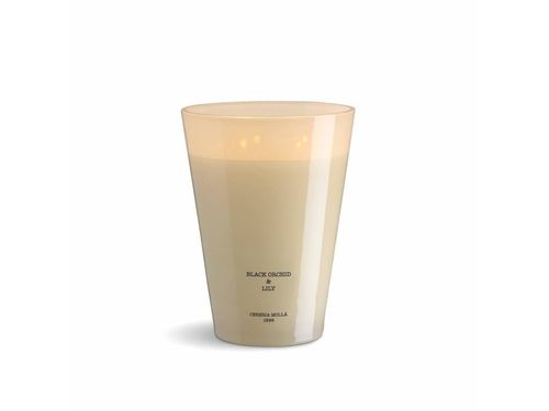 Vonná svíčka se 4 knoty Cereria Mollá Provence Lavender, 3500 g