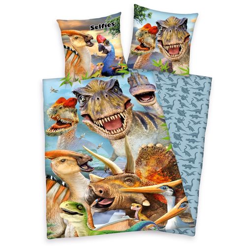 Herding Dětské bavlněné povlečení Dinosauři, 140 x 200 cm, 70 x 90 cm