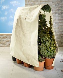 Wenko ochrana rostlin, béžová ( rozměry: 200 x 240 cm )