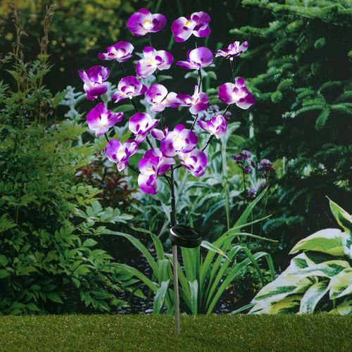 Solární zápich orchidej