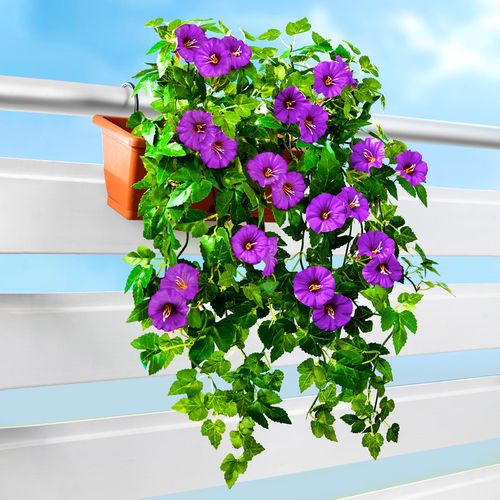 Umělá petúnie převislá, fialová