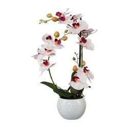 Umělá Orchidej v keramickém květináči bílá, 42 cm 1118033-10