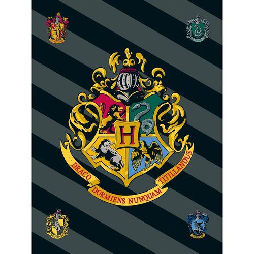 Jerry Fabrics Deka Harry Potter, 100 x 150 cm