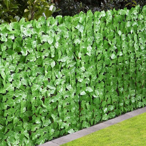 Soukromý živý plot/listová stěna
