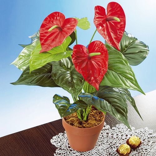 Umělá květina - anthurium / flamingo