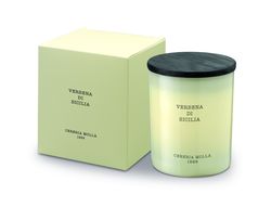 Cereria Molla vonná svíčka Verbena di Sicilia, 230 g
