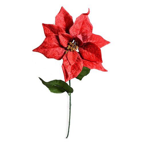 Vánoční sametová růže červená, 20 cm x 65 cm